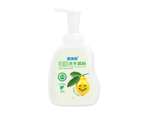 Eco-Friendly Hand Wash Mousse