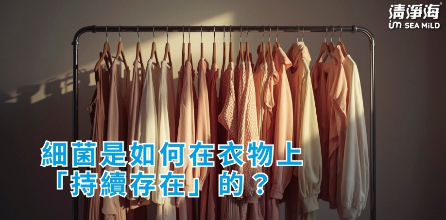 細菌是如何在衣物上持續存在的？