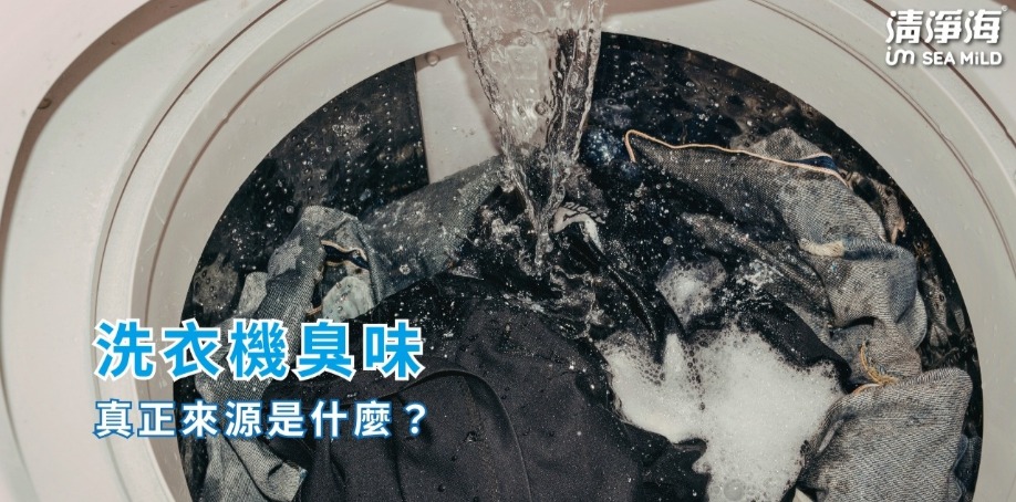 洗衣機臭味的真正來源是什麼？