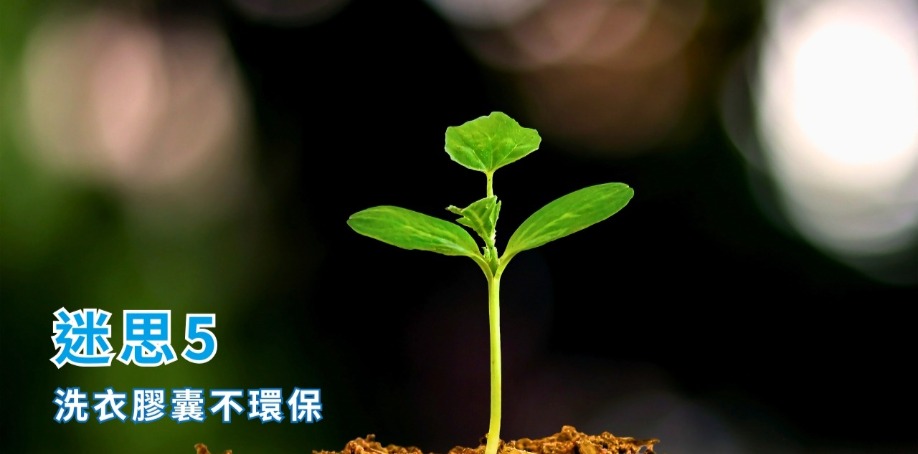 迷思5:洗衣膠囊不環保 土上有一株稚嫩的綠芽,向著光生長